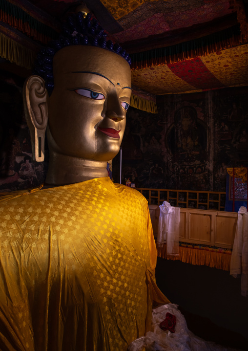 Buddha statue in Shey Monastery, Ladakh, Shey, India