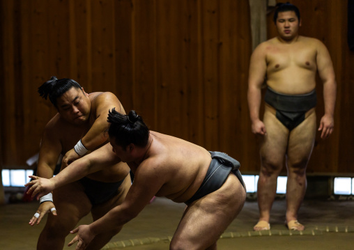 Sumo wrestlers fighting in Tatsunami Beya sumo stable, Kanto region, Tokyo, Japan