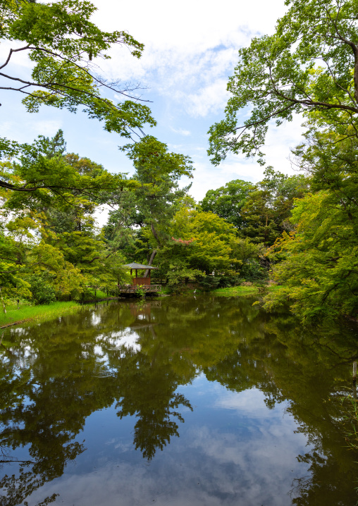 Water pond in Kyoto botanical garden, Kansai region, Kyoto, Japan