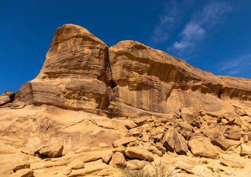 Petroglyphs on a rock depicting animals, Najran Province, Thar, Saudi Arabia