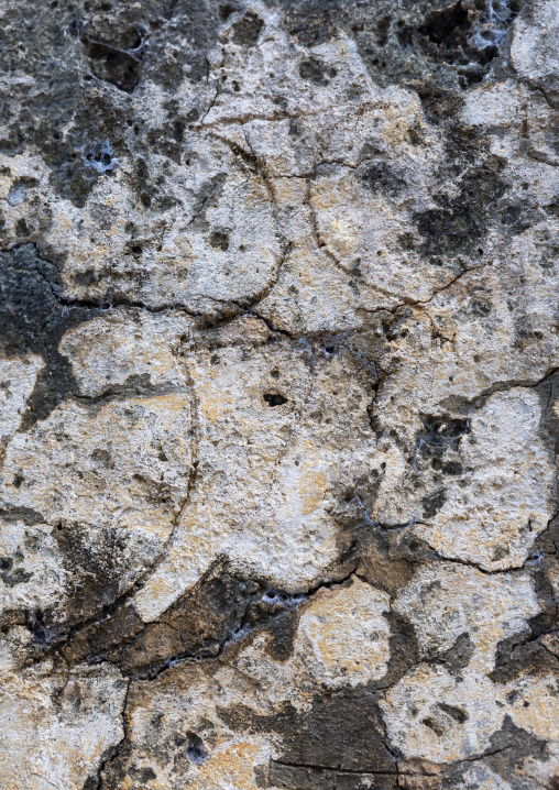 Kandjar carved on Takwa ruins, Lamu County, Manda island, Kenya