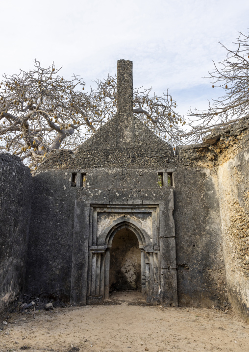 Baobab below mosque in Takwa islamic ruins, Lamu County, Manda island, Kenya