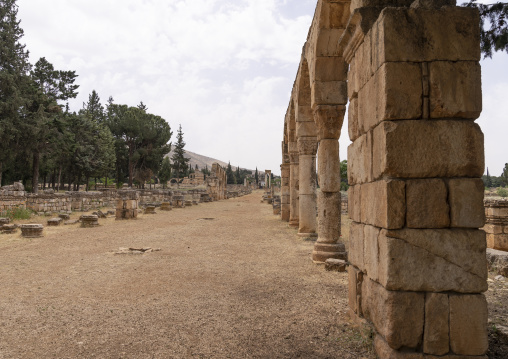 The cardo of the Umayyad city, Beqaa Governorate, Anjar, Lebanon