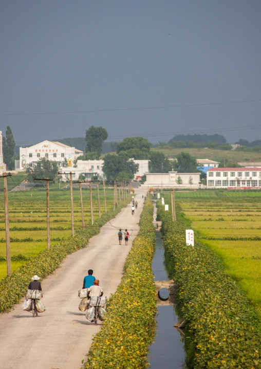 Rural road in the countryside, Kangwon, Chonsam Cooperative Farm, North Korea