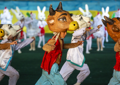 Dancers with animals masks in Arirang mass game, DGC, Pyongyang, North Korea