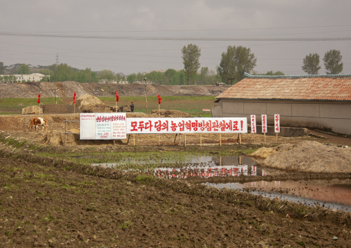 North Korean propaganda billboards in the countryside, DGC, Pyongyang, North Korea