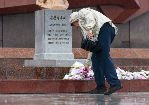 Western tourist bringing flowers to Taesongsan revolutionary martyr's cemetery, DGC, Pyongyang, North Korea
