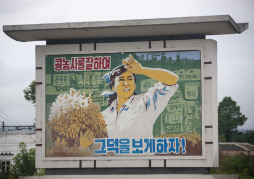 Propaganda billboard about soja in the street, South Hamgyong, Hamhung, North Korea