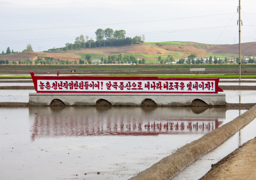 Propaganda billboard in a paddy field, South Pyongan, Nampo, North Korea