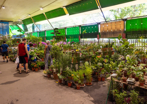 Jianguo holiday flower market, Daan District, Taipei, Taiwan