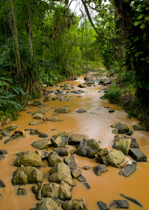 Small Muddy River In N Dalatando Botanical Garden, Angola