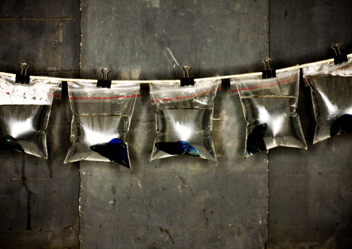 Bags Of Assorted Goldfish, Beijing China