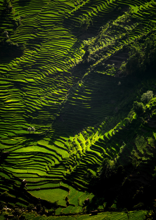 Green Rice Terraces Of Hani People In Yuanyang, Yunnan Province, China