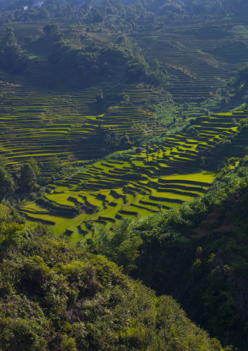 Green Rice Terraces Of Hani People In Yuanyang, Yunnan Province, China