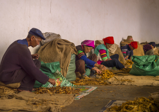 Mongolian Minority People, Tong Hai, Yunnan Province, China