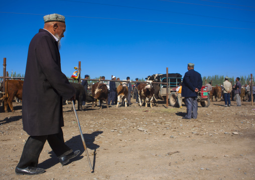 Uyghur Man In Kashgar Animal Market, Xinjiang Uyghur Autonomous Region, China