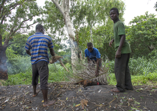 Benin, West Africa, Dankoly, teenagers cooking a sacrified goat after a voodoo ceremony