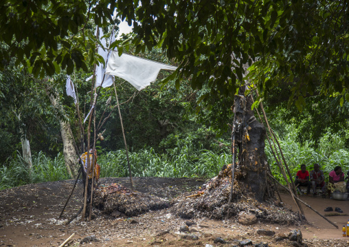 Benin, West Africa, Dankoly, a voodoo shrine covered with oil blood and feathers