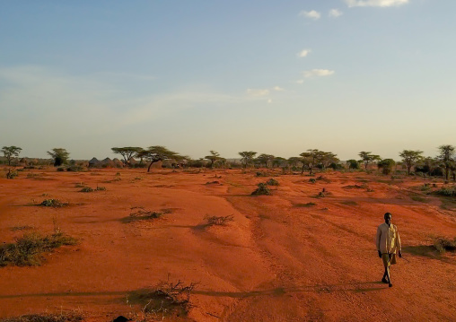 Aerial view of a Borana man leaving his village, Oromia, Yabelo, Ethiopia