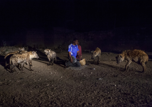 The Hyena Man Of Harar And Tourist Feed Raw Meat To Wild Hyenas, Harar, Ethiopia