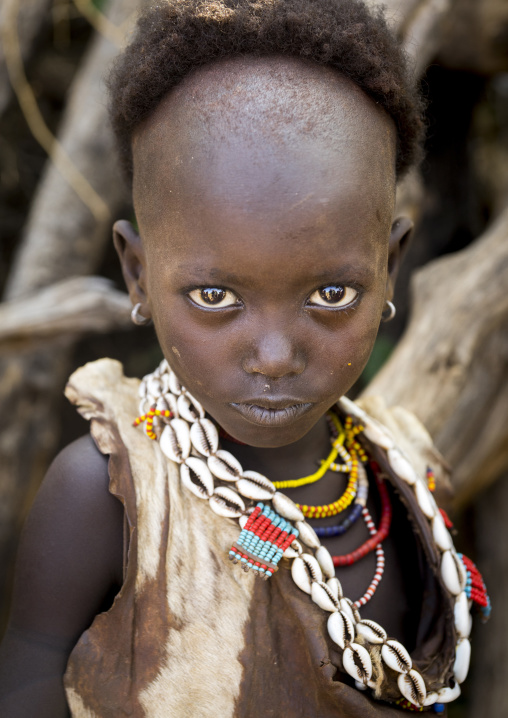 Litte Hamer Girl Tribe With Head Half Shaved In Traditional Outfit, Turmi, Omo Valley, Ethiopia