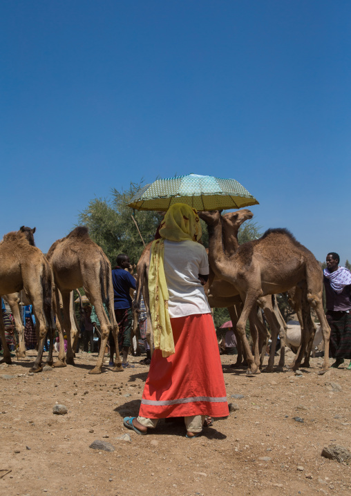 Woman holding an umbrella in the camel market, Oromo, Sambate, Ethiopia