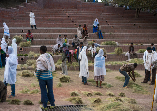 Ethiopian selling grass for kidane mehret orthodox celebration, Amhara region, Lalibela, Ethiopia