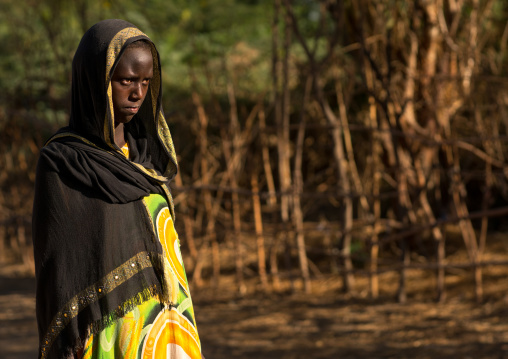 Portrait of an afar tribe teenage girl, Afar region, Afambo, Ethiopia