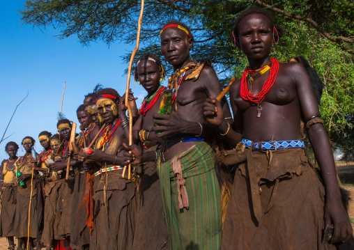 Dassanech tribe women during dimi ceremony to celebrate circumcision of teenagers, Omo valley, Omorate, Ethiopia