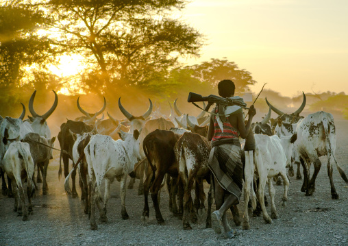 Afar tribe herder with a kalshnikov looking for his cows, Afar region, Afambo, Ethiopia