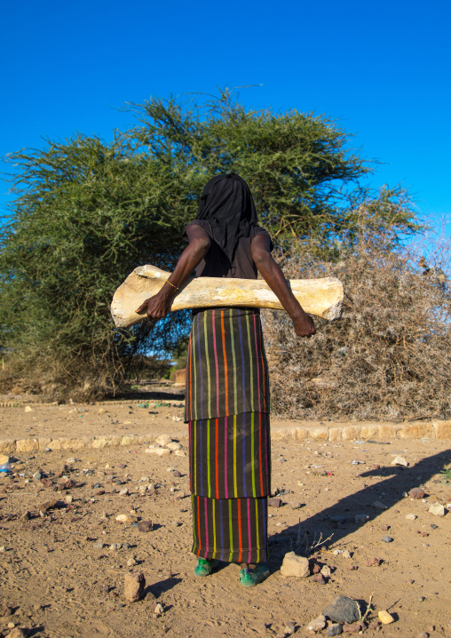 Rear view of an Afar tribe woman with an elephant femur bone found in a dry river, Afar region, Chifra, Ethiopia