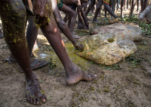 People covering themselves with cow dungs during the proud ox ceremony in the Dassanech tribe, Turkana County, Omorate, Ethiopia