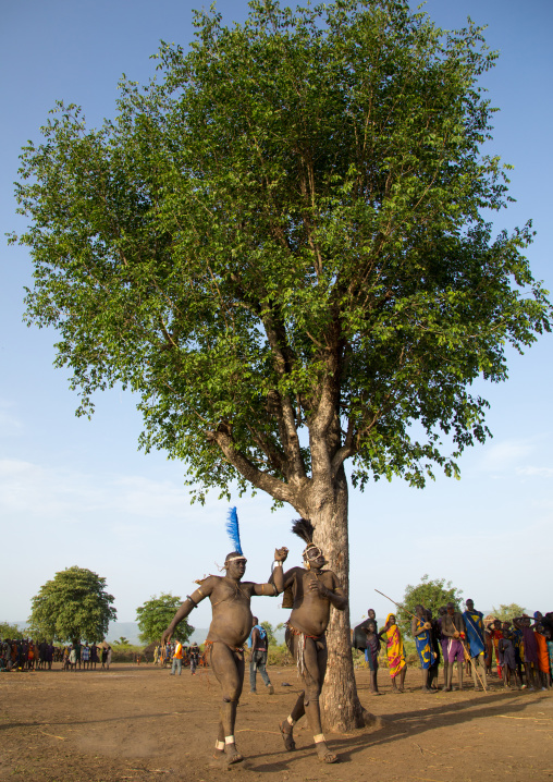 Bodi tribe fat men running around a tree during Kael ceremony, Omo valley, Hana Mursi, Ethiopia