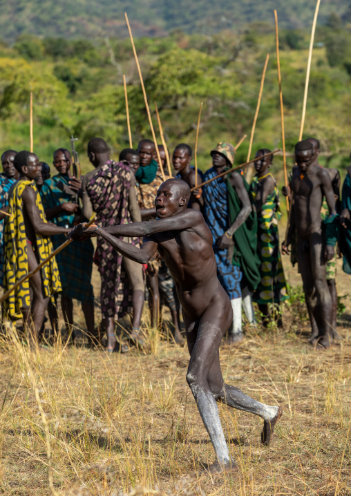 Suri tribe warriors fighting during a donga stick ritual, Omo valley, Kibish, Ethiopia