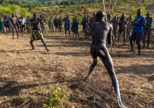 Suri tribe warriors fighting during a donga stick ritual, Omo valley, Kibish, Ethiopia