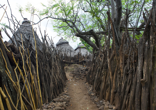 Fences In Konso Tribe  Village, Omo Valley, Ethiopia