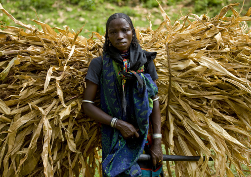Portrait Of A Borana Tribe Woman Carrying A Huge Bale Of Fodder, Yabello, Omo Valley, Ethiopia