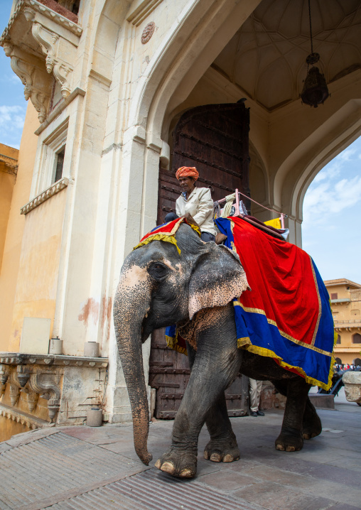 Elephant ride in Amer fort and palace, Rajasthan, Amer, India