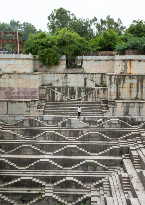 Indian man with his goat in dhabhai ka Kund stepwell, Rajasthan, Bundi, India