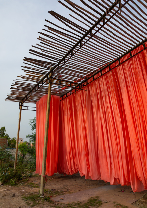 Indian workers drying orange sarees, Rajasthan, Sanganer, India