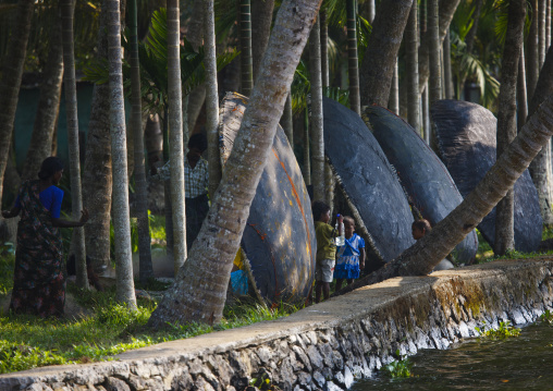 Family Under The Palm Trees And Near Round Boats On The Banks Of Backwaters Of Kerala, Alleppey, India