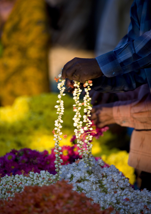 Hand Of A Man Holding Flowers At Mysore Flower Market, India