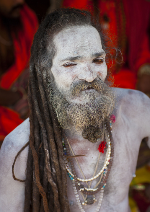 Naga Sadhu In Juna Akhara, Maha Kumbh Mela, Allahabad, India