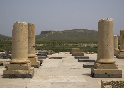 The audience hall of the palace, Fars province, Pasargadae, Iran