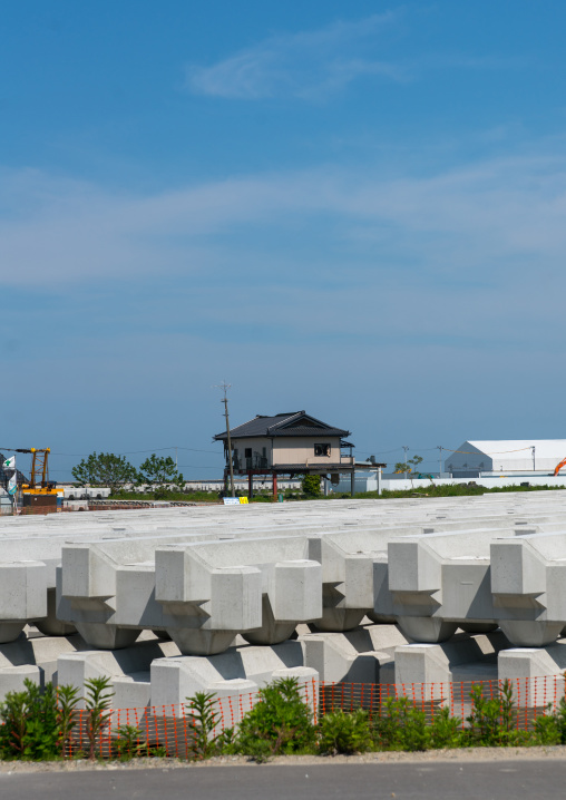 A house destroyed by the 2011 earthquake and tsunami five years after, Fukushima prefecture, Namie, Japan