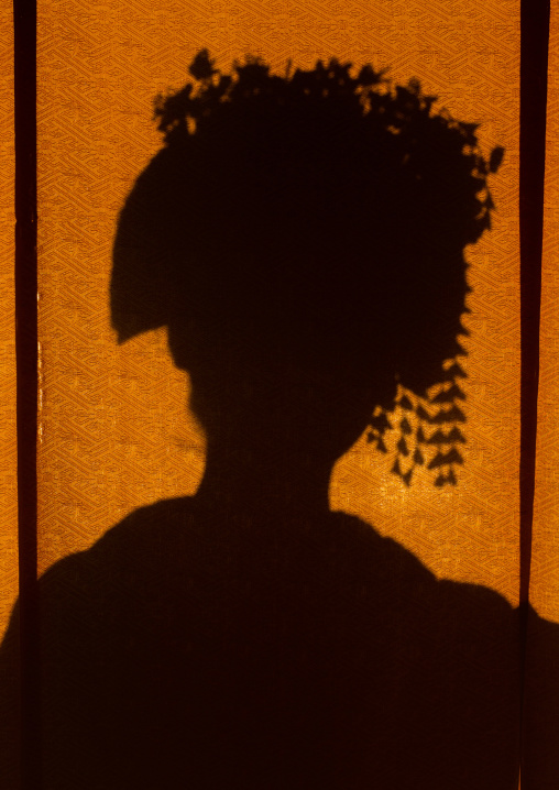 16 Years old maiko called chikasaya silhouette, Kansai region, Kyoto, Japan