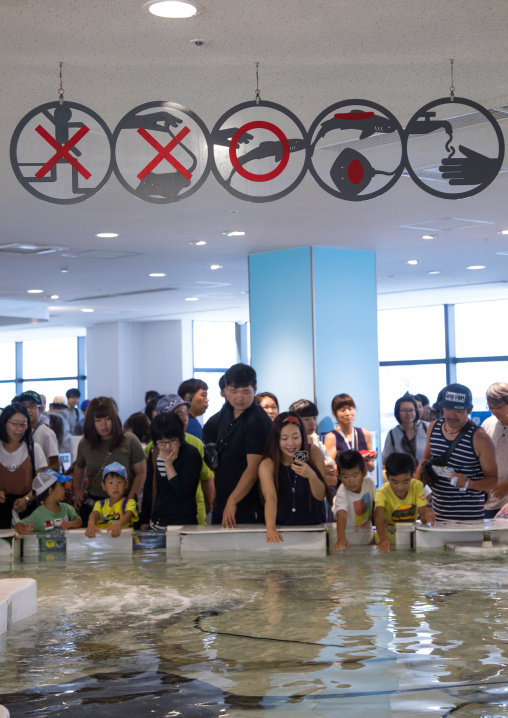 Warning signs in the touch pool in Kaiyukan aquarium, Kansai region, Osaka, Japan