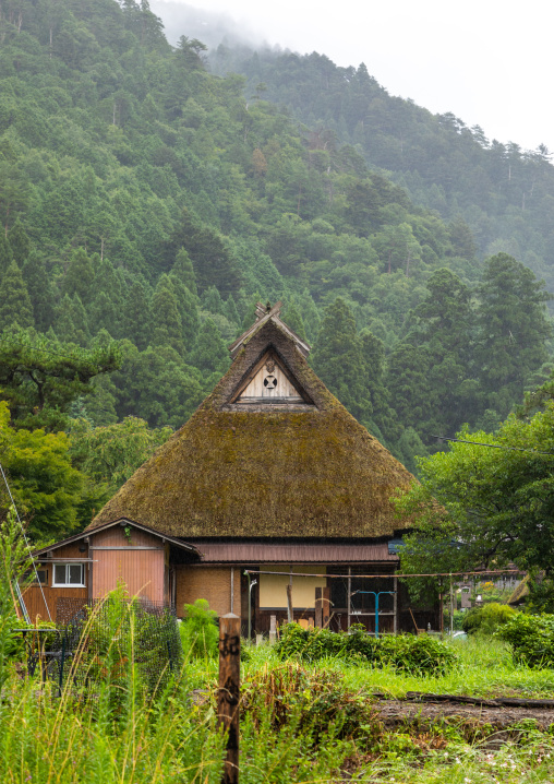 Thatched roofed houses in a traditional village against a bamboo forest, Kyoto Prefecture, Miyama, Japan