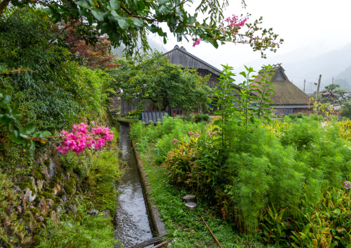 Thatched roofed houses in a traditional village, Kyoto Prefecture, Miyama, Japan