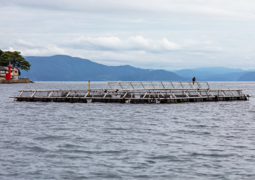 Fish farm in the sea, Kyoto prefecture, Ine, Japan